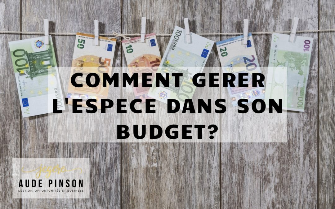 gerer l'espece dans son budget