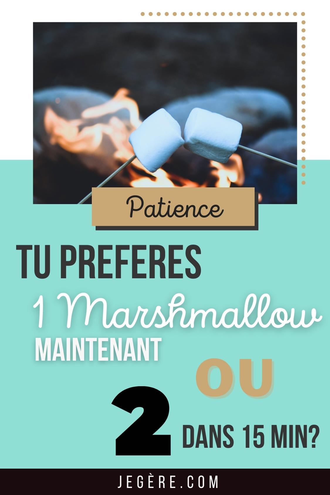 Tu préfères 1 marshmallow maintenant ou 2 dans 15 min?